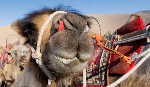 Dunhuang, Gansu Province, China