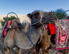 Dunhuang, Gansu Province, China