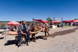 Kashgar animal market, Xinjiang Province, China