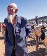 Kashgar animal market, Xinjiang Province, China