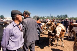 Kashgar animal market, Xinjiang Province, China
