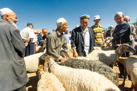 Kashgar animal market, Xinjiang Province, China