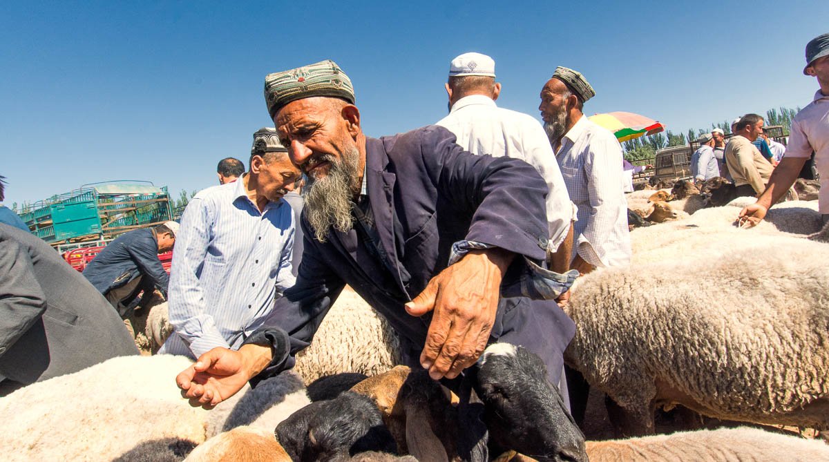 Kashgar animal market