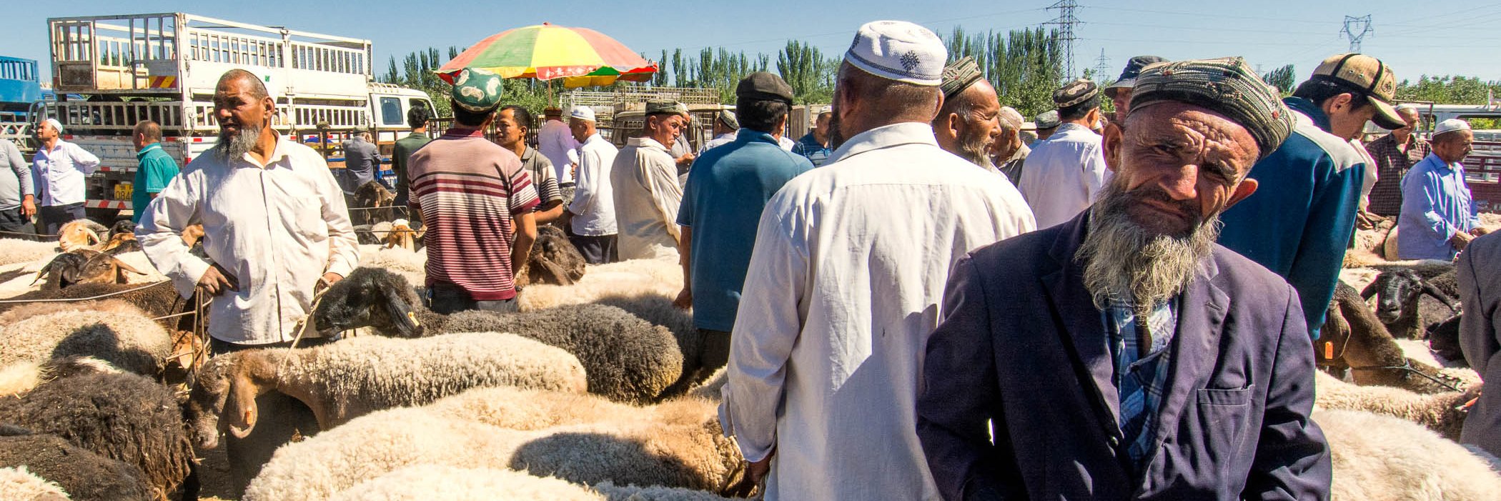 China - Silk Road 12 - Kashgar Animal Market