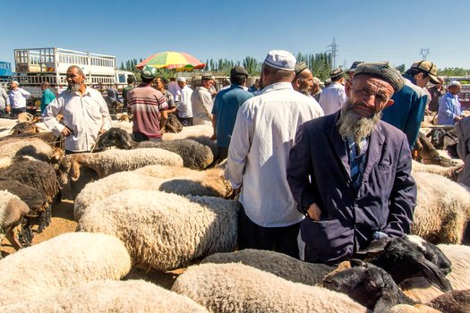 China - Silk Road 12 - Kashgar Animal Market