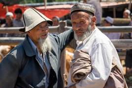 Kashgar animal market, Xinjiang Province, China