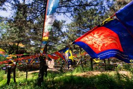 Pǔtuózōngchéng Temple