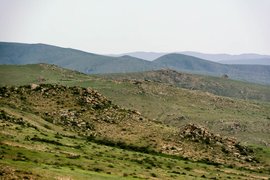 Khustain National Park, Töv, Mongolia