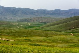 Khustain National Park, Töv, Mongolia