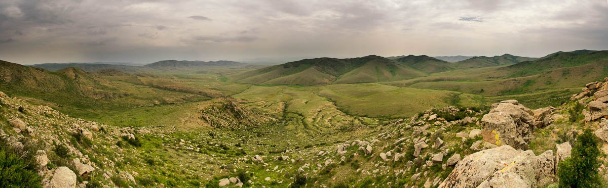 Khustain National Park, Töv, Mongolia