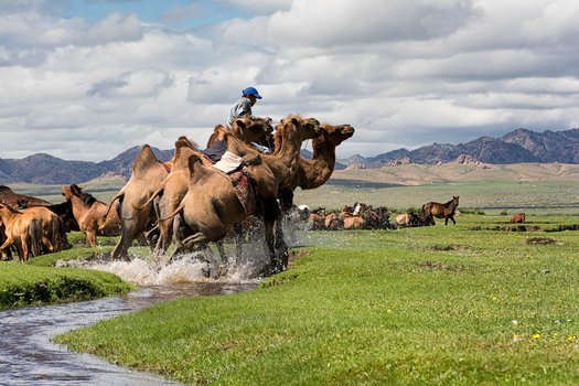Mongolia - On the Edge of the Gobi