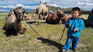 Mongol Els, Bulgan, Mongolia
