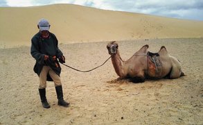 Mongol Els, Bulgan, Mongolia