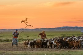 Mongol Els, Bulgan, Mongolia