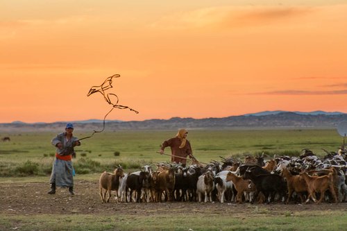 Mongol Els, Bulgan, Mongolia