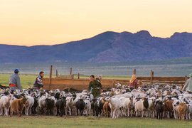 Mongol Els, Bulgan, Mongolia