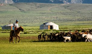 Mongol Els, Bulgan, Mongolia