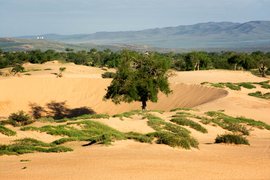 Mongol Els, Bulgan, Mongolia
