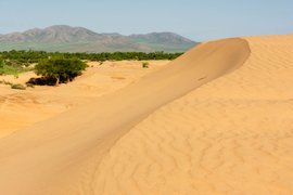 Mongol Els, Bulgan, Mongolia