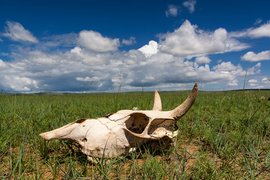 Övörkhangai province, Mongolia