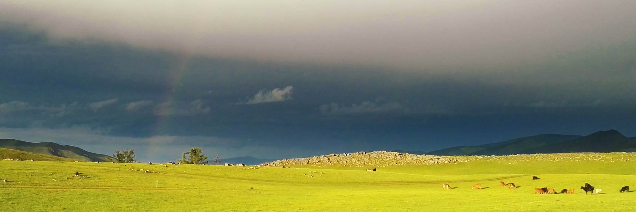 Mongolia - Horses, Waterfalls and the World's Smallest Rabbit