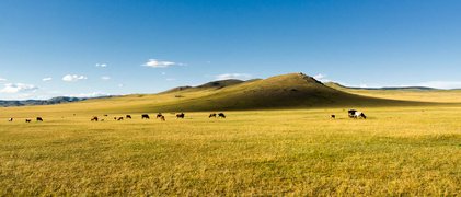 Driving north through Central Mongolia