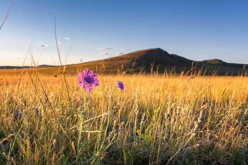 Driving north through Central Mongolia