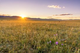 Driving north through Central Mongolia