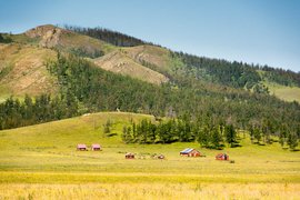 Driving north through Central Mongolia