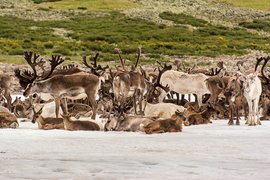 Khövsgöl Aimag, Mongolia