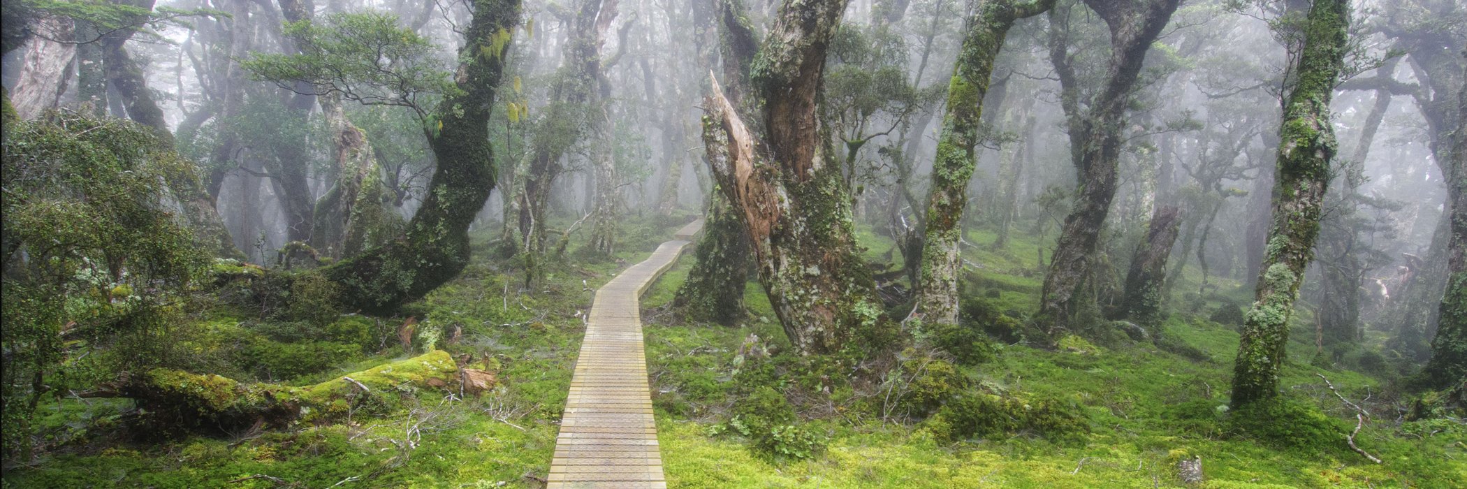 New Zealand Route Planner Help Page